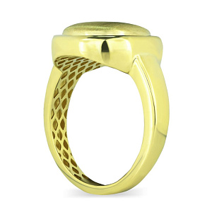 06-ВР-П1025-1 Кольцо (Au 585)