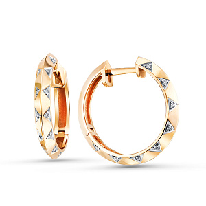 02-P0565-01-001-07-01 Серьги (Au 585)