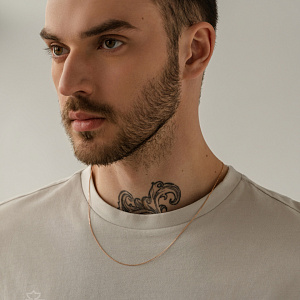 НЦ 12-053 d0.30 Цепь (Au 585)