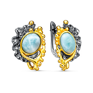 YE02714_SR_LR_BJ Серьги (Ag 925)