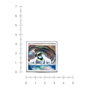 5-194-62400 Брошь (Ag 925)