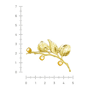 5-212-86387 Брошь (Ag 925)