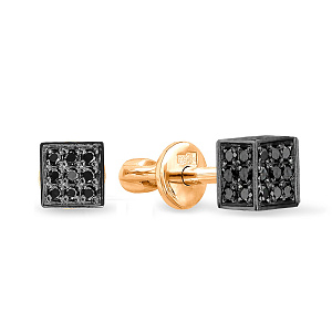 09-P0263-2-01-038-07-05 Серьги (Au 585)