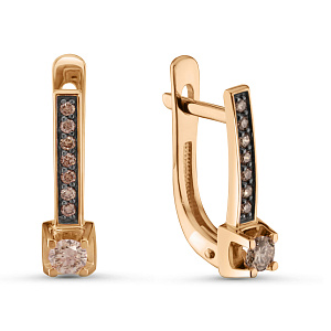 02-03257-01-034-01-05 Серьги (Au 585)