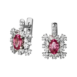 2_04066 Серьги (Au 585)