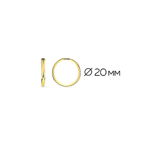 002-0740-0000-020 Серьги (Au 585)