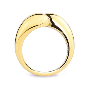 06-ВР-П1015-1 Кольцо (Au 585)