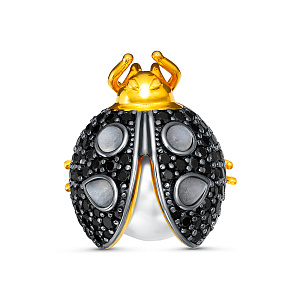 C00600A_BR_LK_SP_WM_YG Брошь (Ag 925)