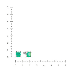 12-1007-63000 Серьги (Ag 925)