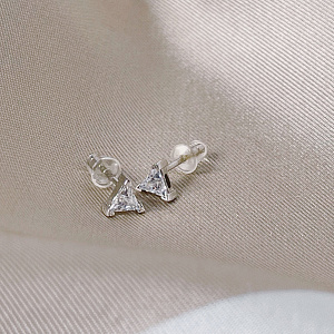 E4907_SR_CI_WG Серьги (Ag 925)